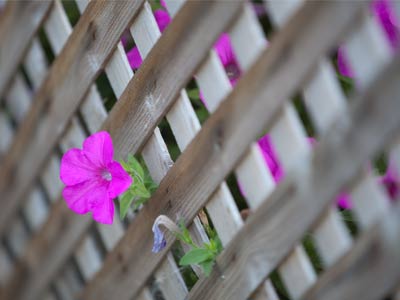 Don`t let boundaries hold you back.