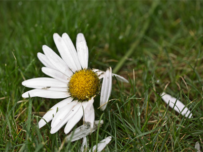 Lately I`ve been feeling that I`m past my prime.