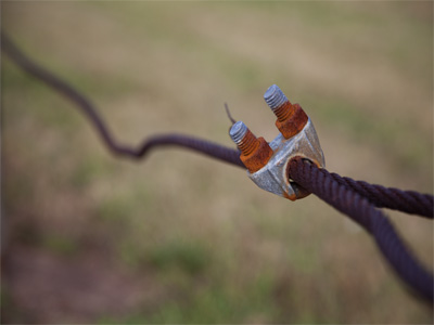 I shoot what there is to shoot.  Today, it was this.