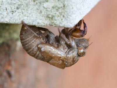 Ever get the feeling that you`re empty inside?