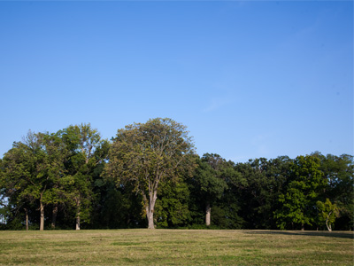 So this is where I went to high school (see April 24, 2012).