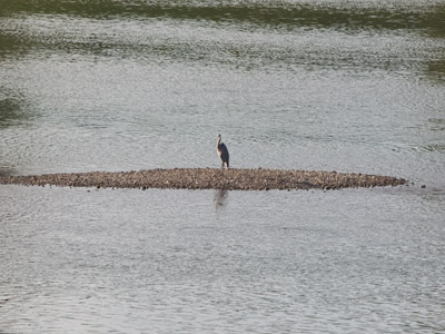 I am a rock.  I am an island.  PAUL SIMON