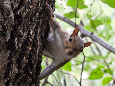 I think we`re seeing curiosity here, not fear.