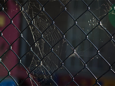 The web keeps the bugs away.  The fence keeps the panhandlers away.