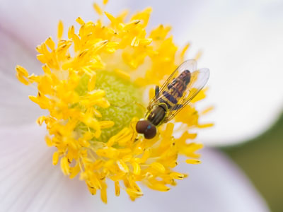 Photography gives me a buzz.