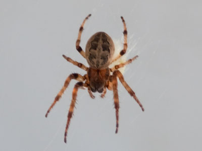 This was only one of many.