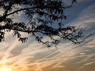 But this picture I liked right away.