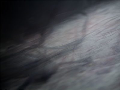 Another sign of autumn:  I take a useless picture indoors.