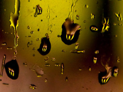 Under the glow of the golden arches.