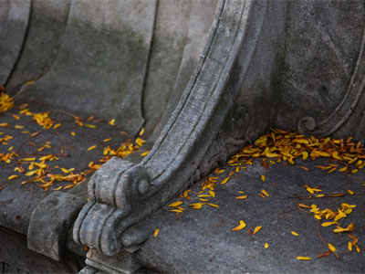 Fall or autumn.  What other season has two names?