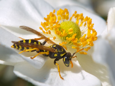 Thowback Thursday:  this looks like a scene from summer.