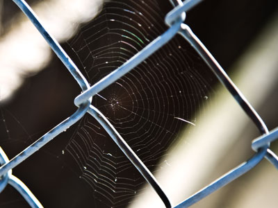 An expensive camera won`t help you if you don`t SEE.