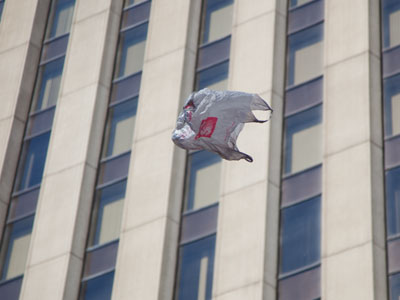 Did I mention it was windy?