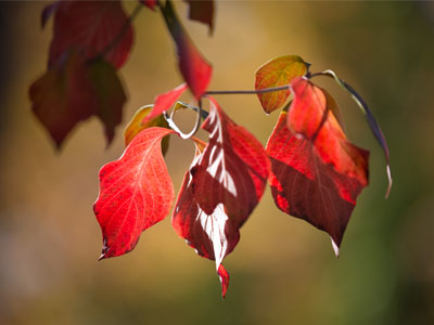Hanging around Sixth Street.