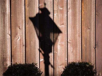 A shadowy symbol of my neighborhood.