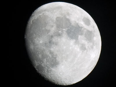 Did you hear about the new restaurant on the moon?  The food is good, service is great, but there`s no atmosphere.