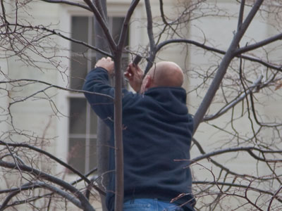 It was just about the last good day to put up decorations.