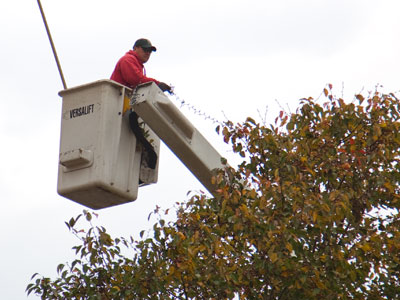 It`s the most wonderful time of the year -- for DP&L.