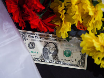Shower curtain, artificial flowers, dollar bills.  I`m ready for tomorrow`s photography workshop.