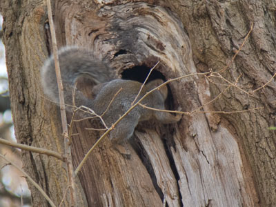 `You`re right, it`s more roomy than it looks from outside.`