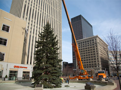 Forty-year-old tree sacrificed for a two-month installation.