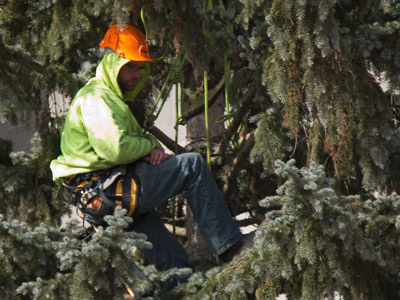 Does he have to stay up there until after Christmas?