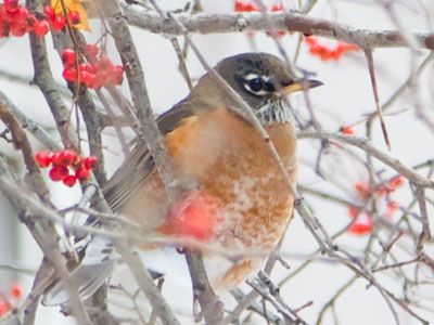 At least I get to go inside when I want to.