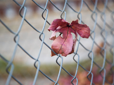 There are still 29 more days before winter even begins.