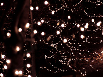 I navigate by the constellations to find my way home.