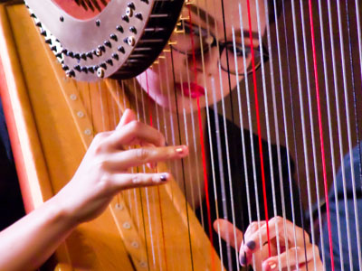 The Nutcracker sounds much better with a harp.