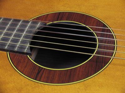 Gibson Model C6.