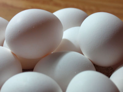 Didn`t go outside, didn`t open the door, didn`t say a word to anybody all day.  Ah, this is living!