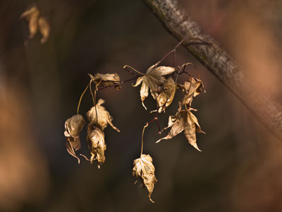 The first day of winter simply means that the Earth has begun to tilt slowly, ever slowly, back in the right direction.