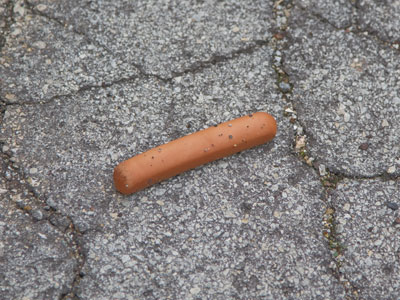 Frank, don`t go into the street!  Watch out for the -- 