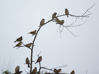 Family reunion.