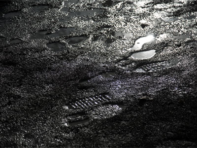 Now and then, in marsh and fen too muddy for the feet of men, where neither bird nor beast has stirred, the spotted bullfrog`s croak is heard. PAUL LAURENCE DUNBAR