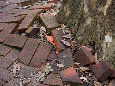 Nature always wins.