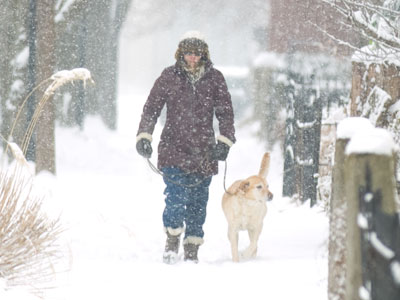 Say it ain`t snow!
