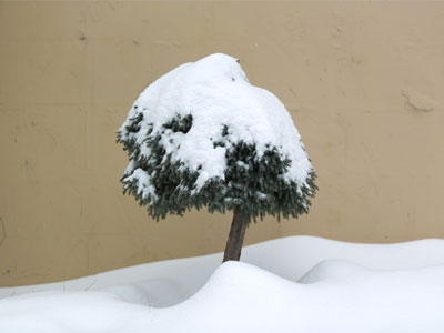 Winter brings me down.