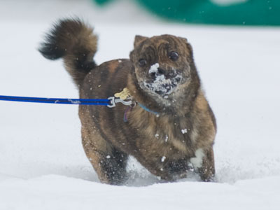 Fun in the snow.