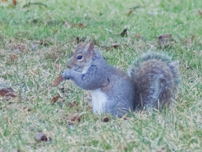 Digging up last year`s hidden treasure.