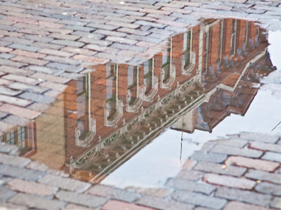 Nature`s mirror.