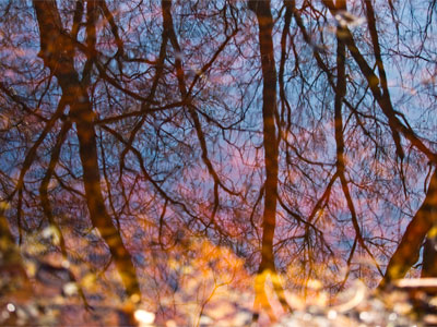 The meeting of the seasons.
