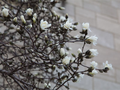 Signs of spring.