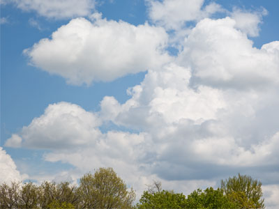 Look this direction and the clouds look pretty.