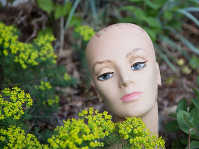 Tulips are blooming, and two eyes and two ears.