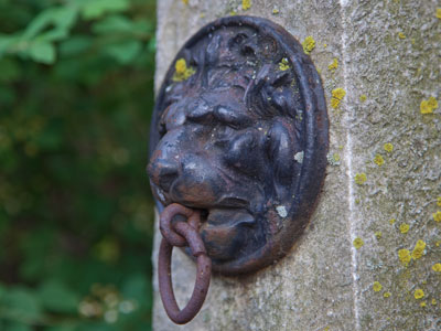 It`s hard to roar with that thing in your mouth.