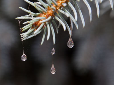 After the daily downpour.