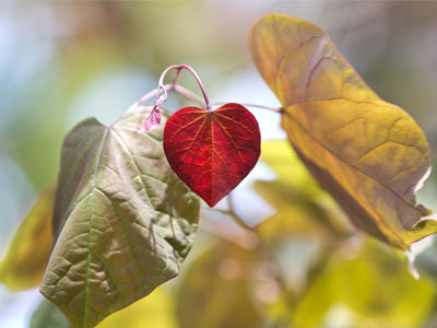 So fragile . . . dont break it (see November 16, 2008;  August 28, 2009;  and November 19, 2009).