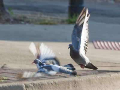 Rush hour.